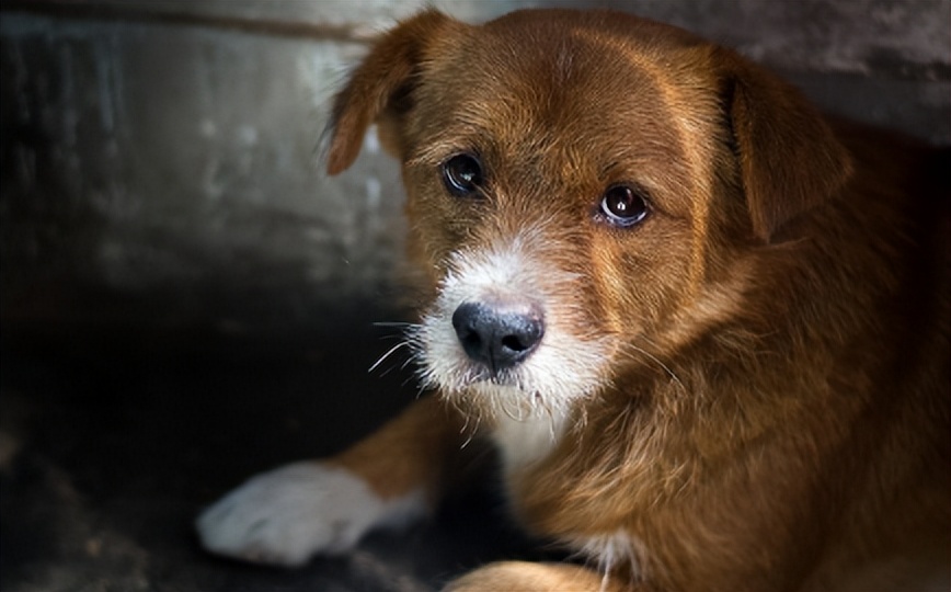 泰国你不知道的趣事,那些你不知道的泰国奇闻趣事