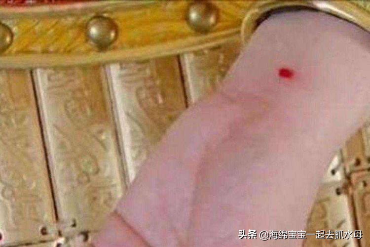 后宫历史真实故事,历史上最荒唐的后宫秘闻