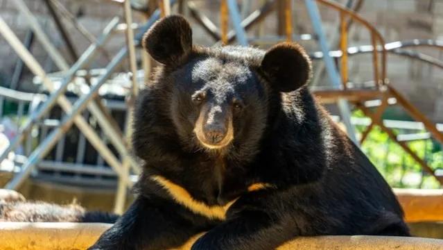 做糕点如何创业,做糕点怎么运营