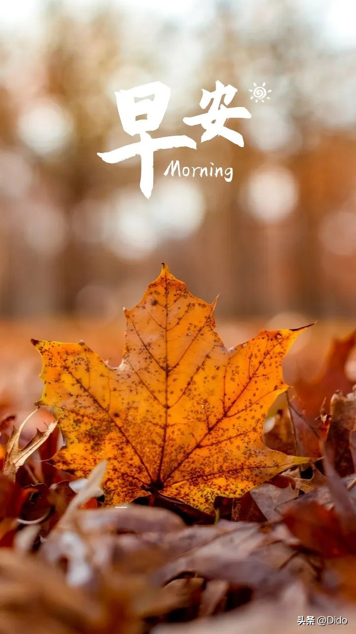 9月11日星期一早安问候语,周一快乐9月12日早安图文分享