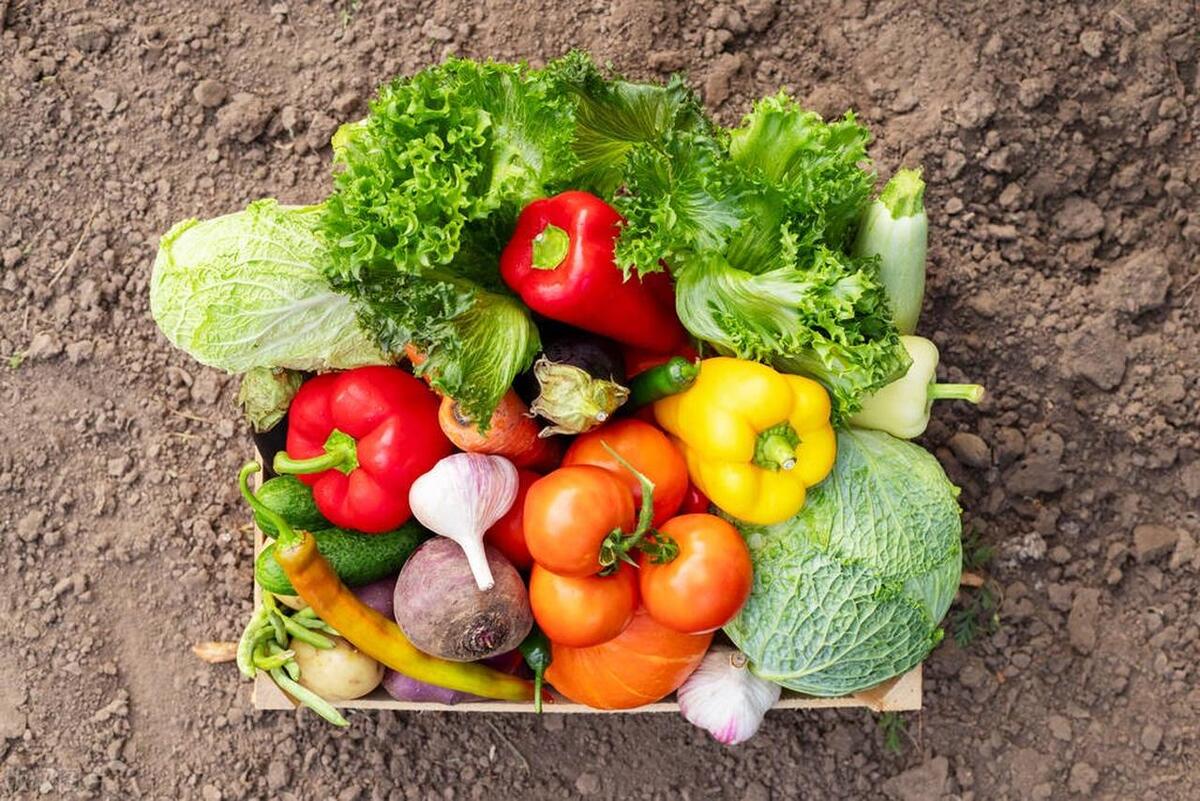 农村院子东边空地适合种植什么树,南方农村山地适合种植什么药材