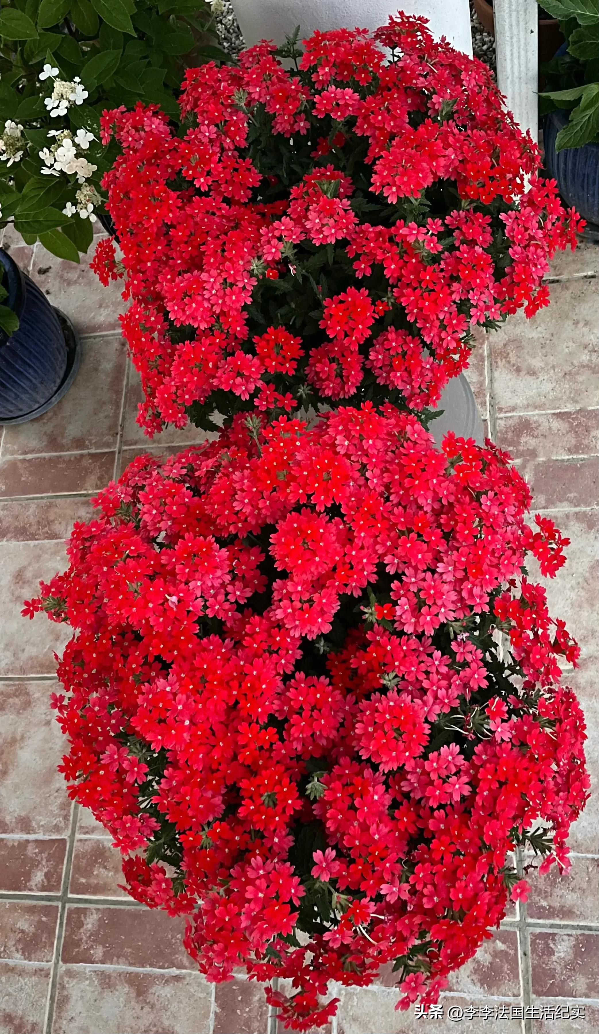 电脑屏幕伤眼有哪些解决方案,电脑屏幕伤眼睛怎么办