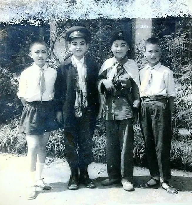 我的动物朋友小学四年级下200字,小学下大雨