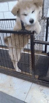 老师上课忘记关投影仪了,女老师上课期间忘记关投影仪