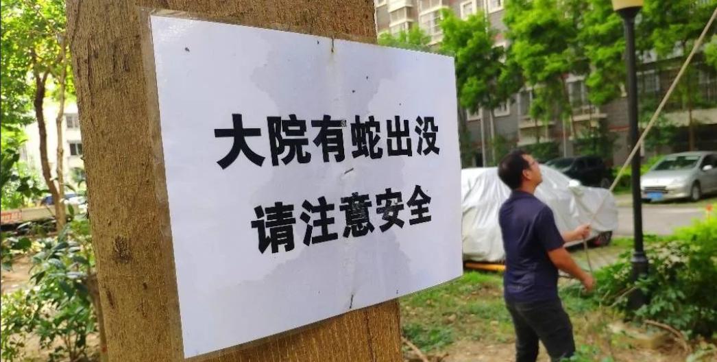 曾有人被咬伤*体下**！女子夜起从马桶钻出大蛇，大蛇为何能上楼？