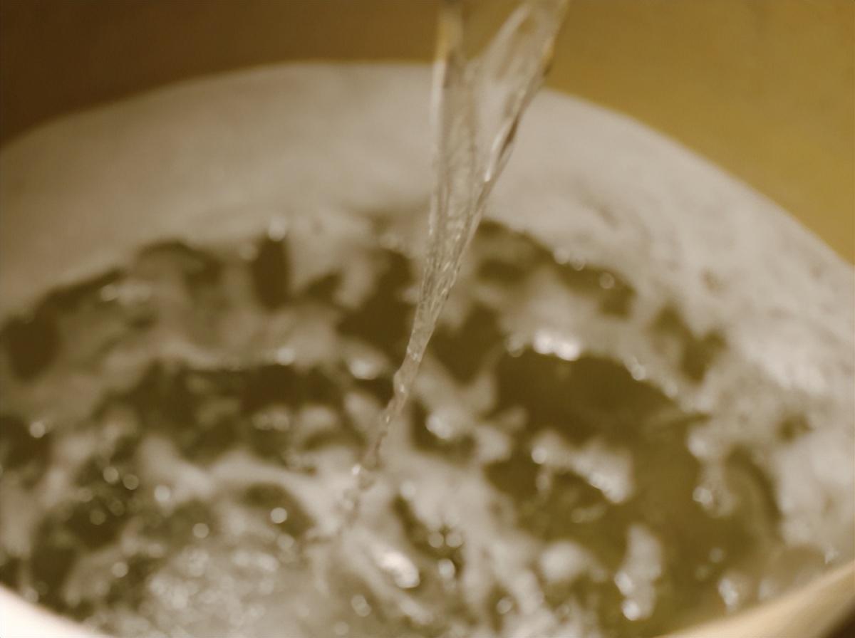 水井坊1号菌群,水井坊一号