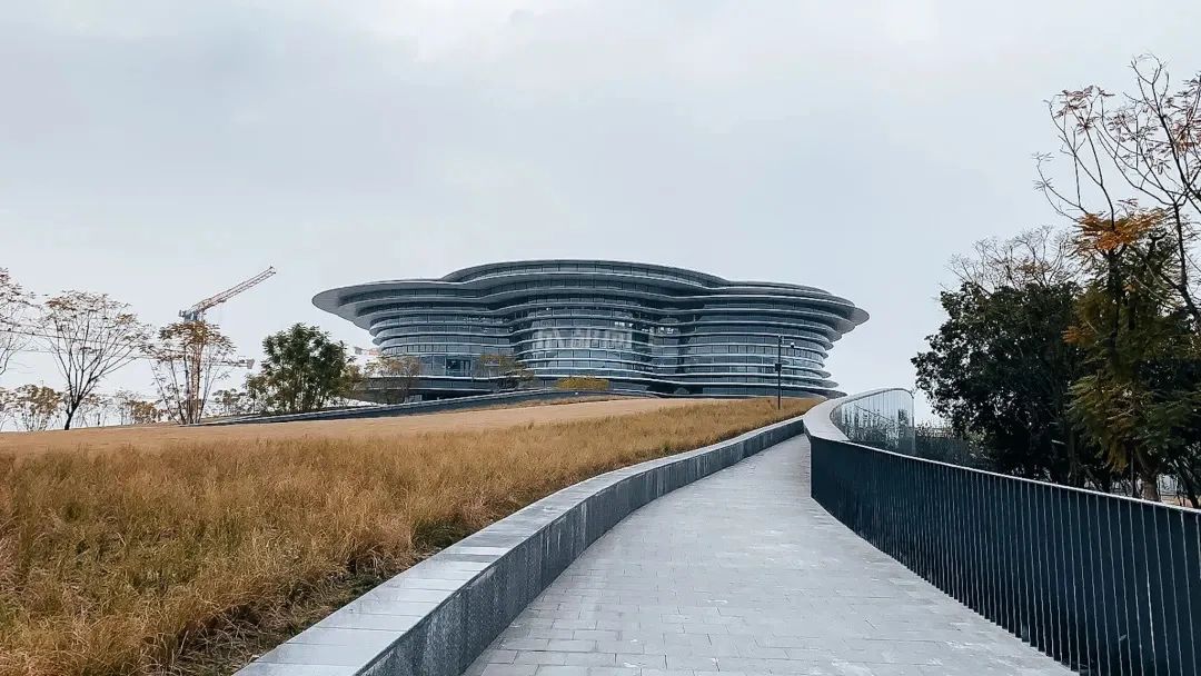 成都成华城东体育公园,成都成华体育公园