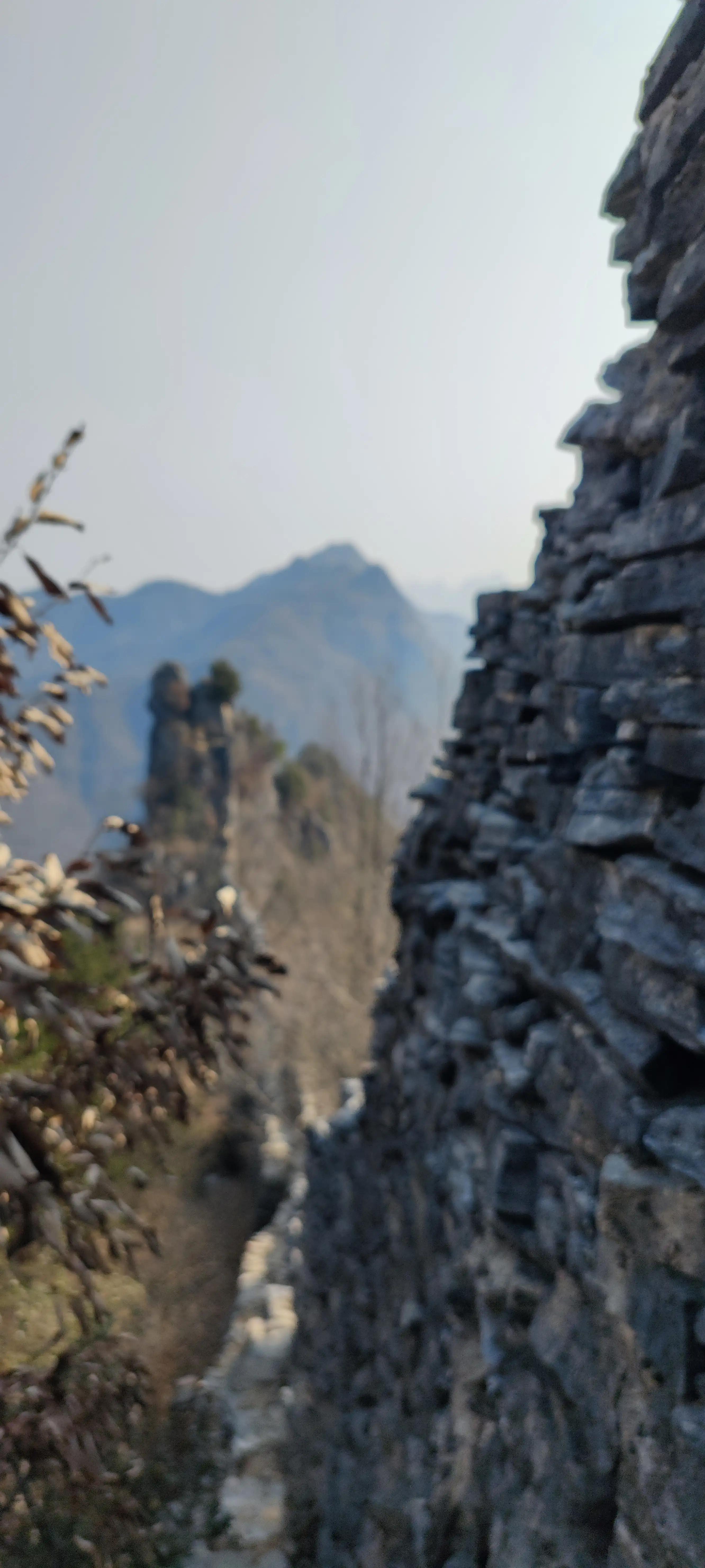 登高登楼,登高望江