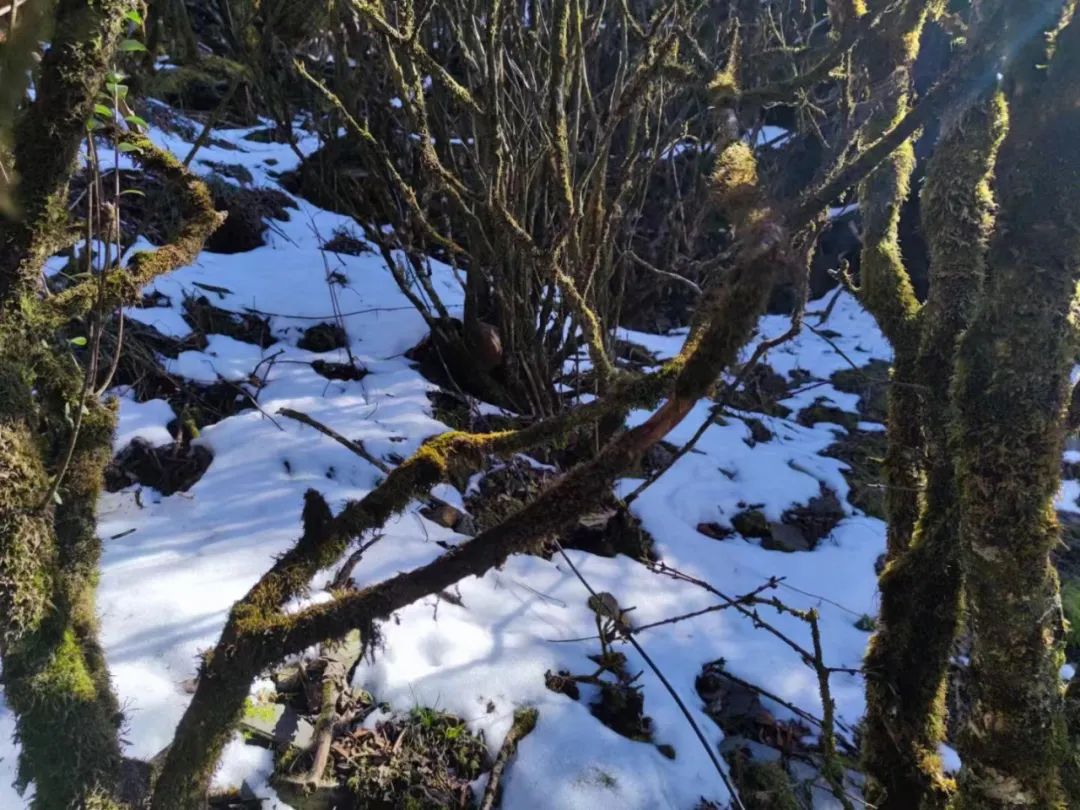 去贵州玩两个月花多少钱,去贵州玩一次多少钱合适