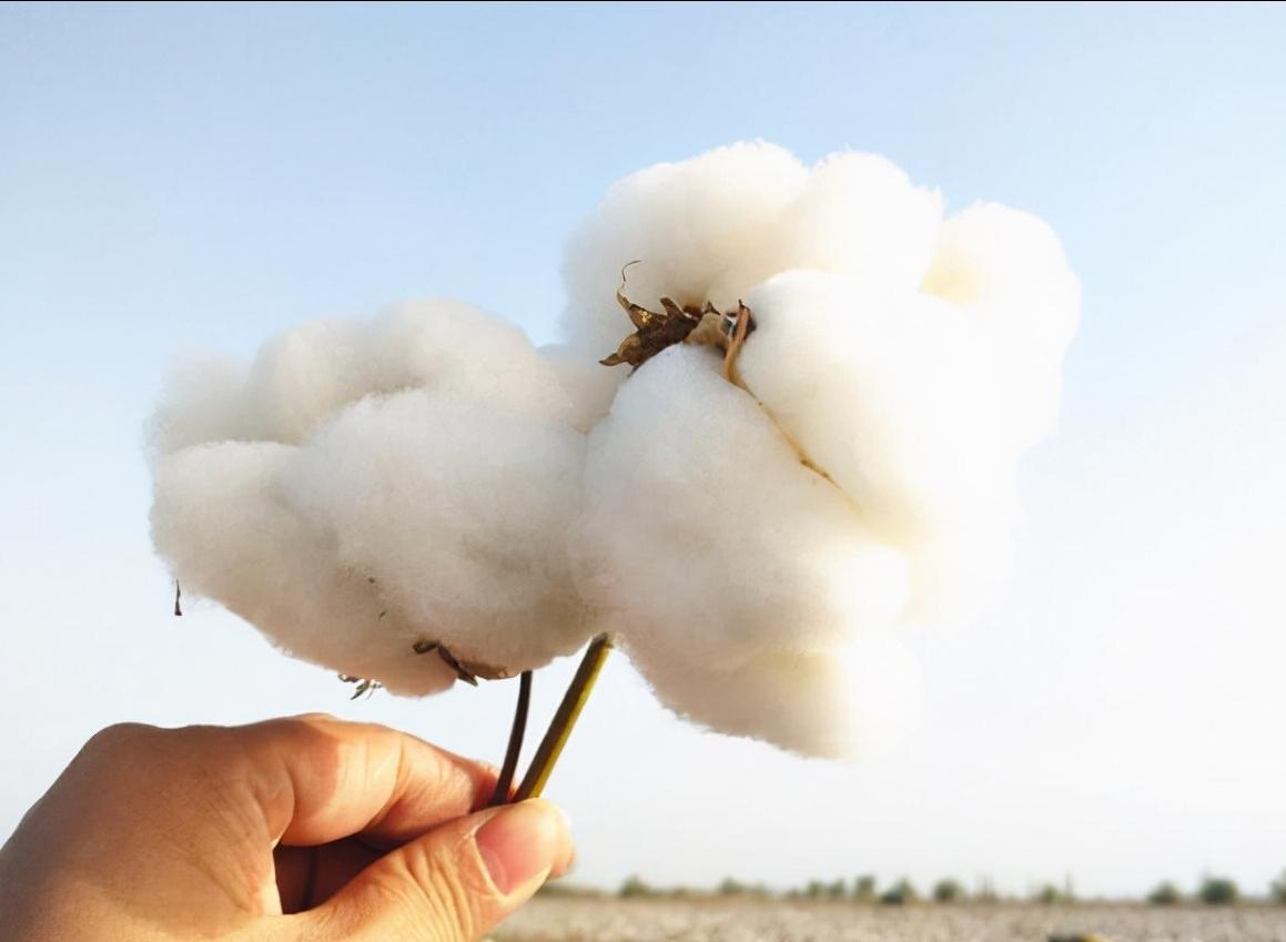 夏天毛巾有臭味用什么方法洗最好,毛巾用久了有异味发硬咋处理