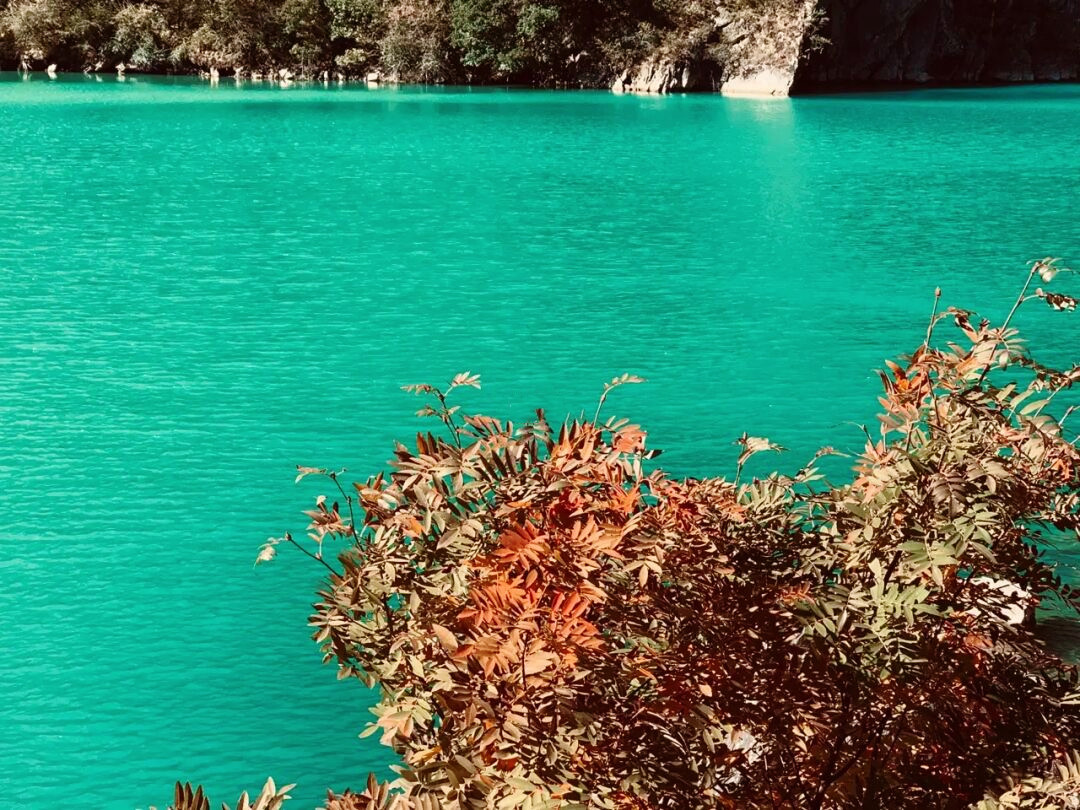 一天来回！别名“小九寨”的油画秋色、高山草甸，一站式游玩到底