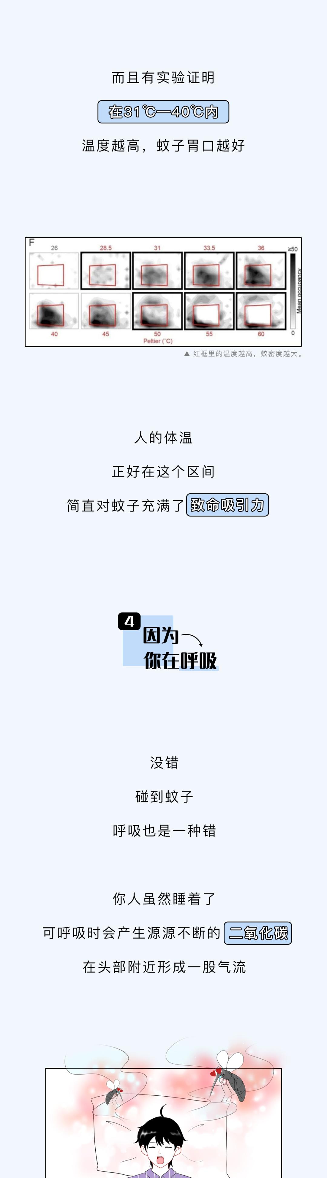 为什么一到睡着前蚊子就会嗡嗡,为什么一睡着蚊子就出来