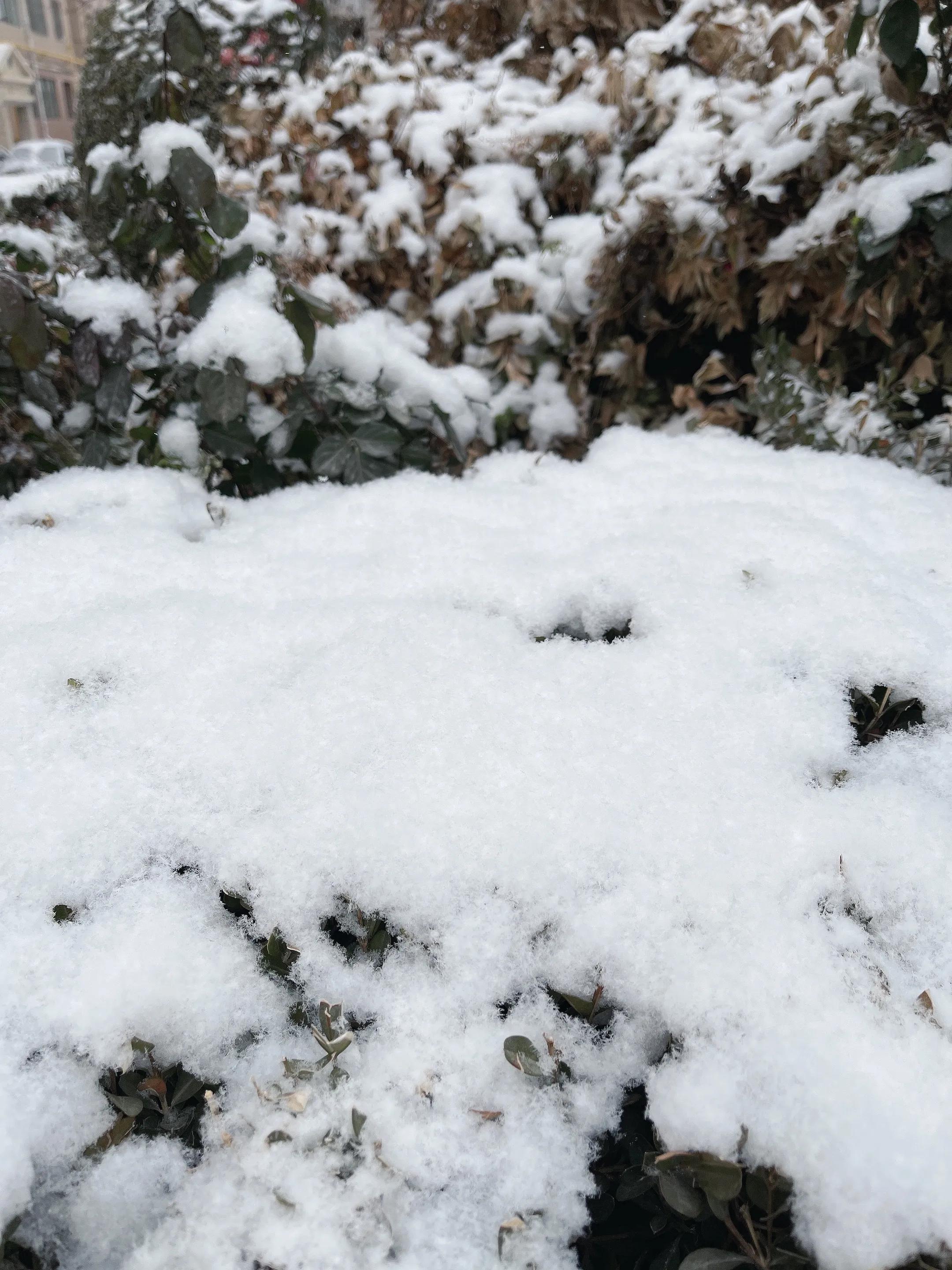 日子虽平淡但从未低头,日子虽平淡