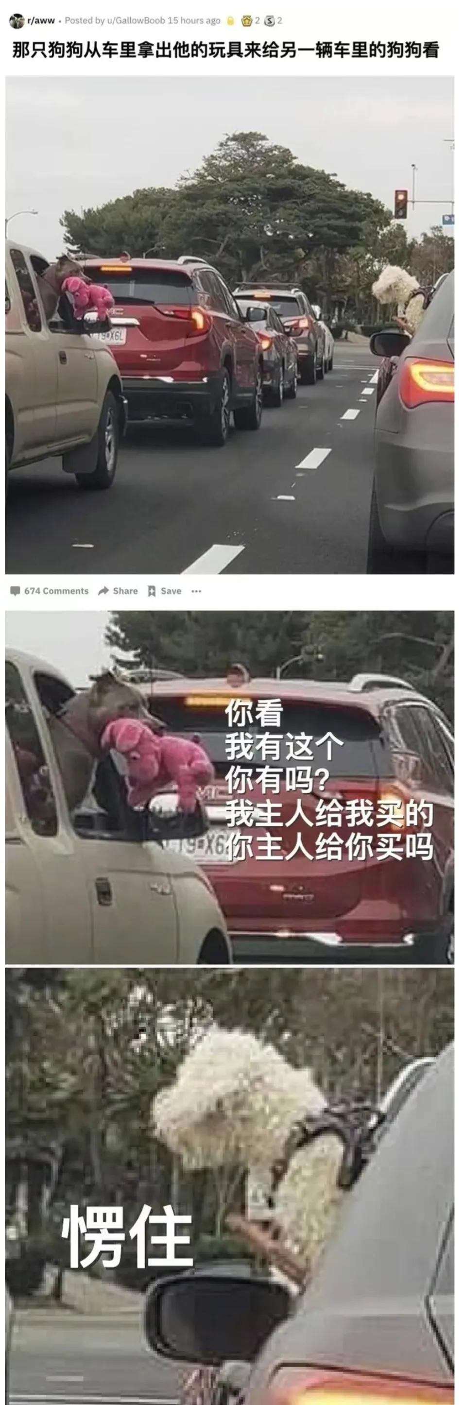 今日笑话原版,蚂蚁大象青藏高原笑话