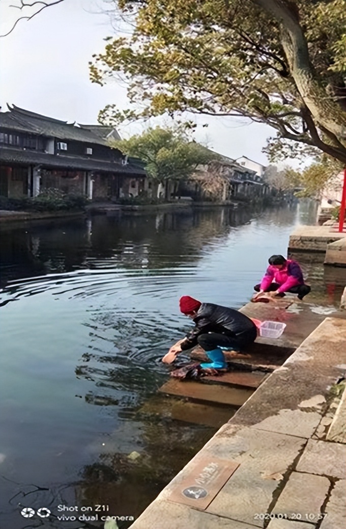同里黎里一日游,上海去黎里古镇一日游攻略