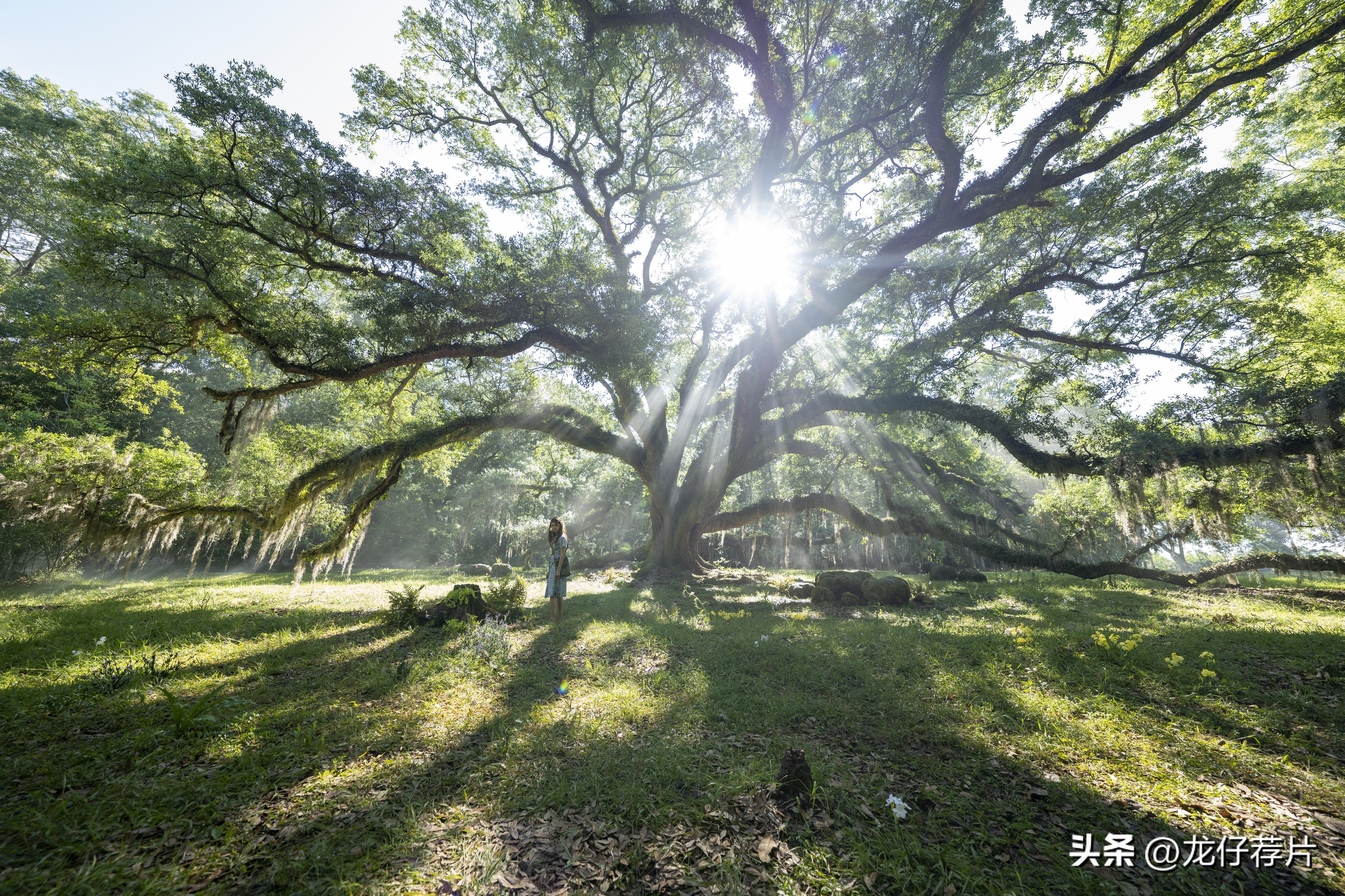 2022必看十部顶级电影,盘点9部又狠又爽的电影