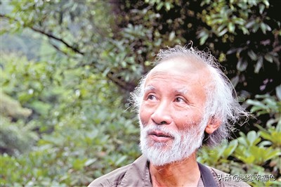 蛇博士完整版,蛇博士烙铁头