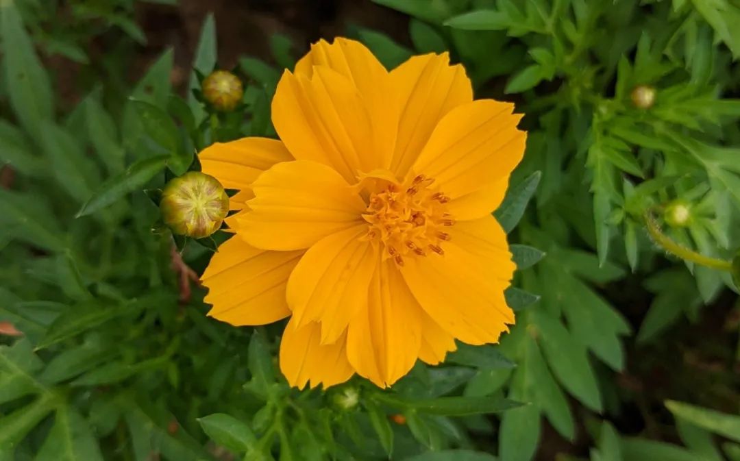 情人之间怎么做他才会一直爱你,不管是情人还是夫妻彼此都要珍惜