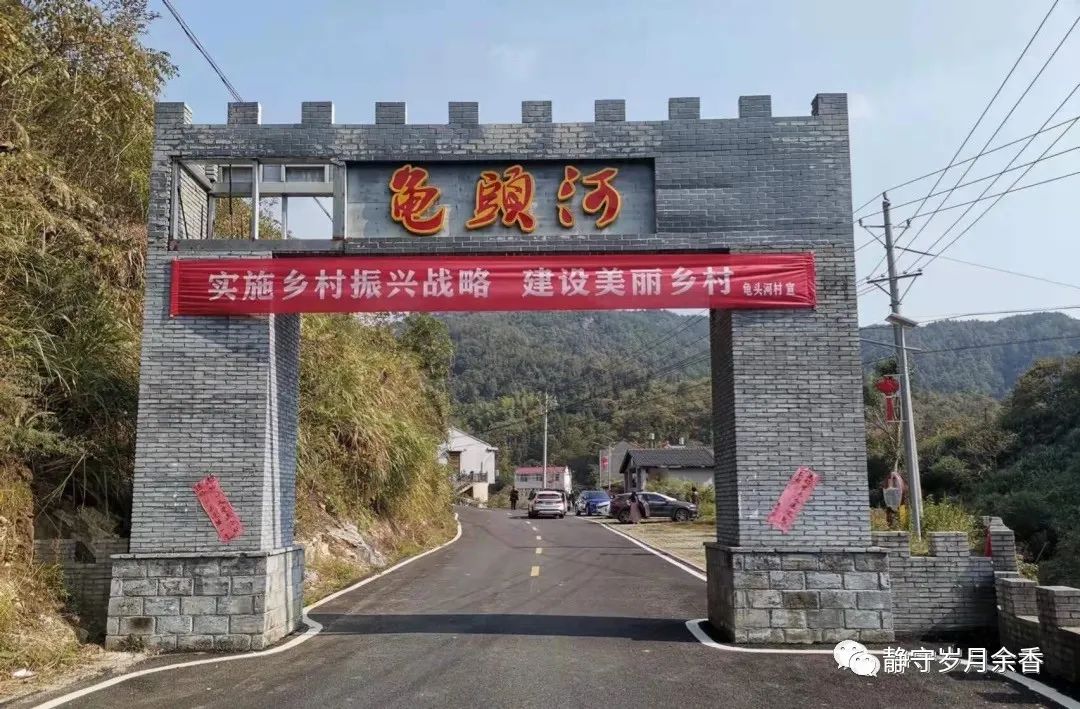 樱子视频大全,樱子挖野菜