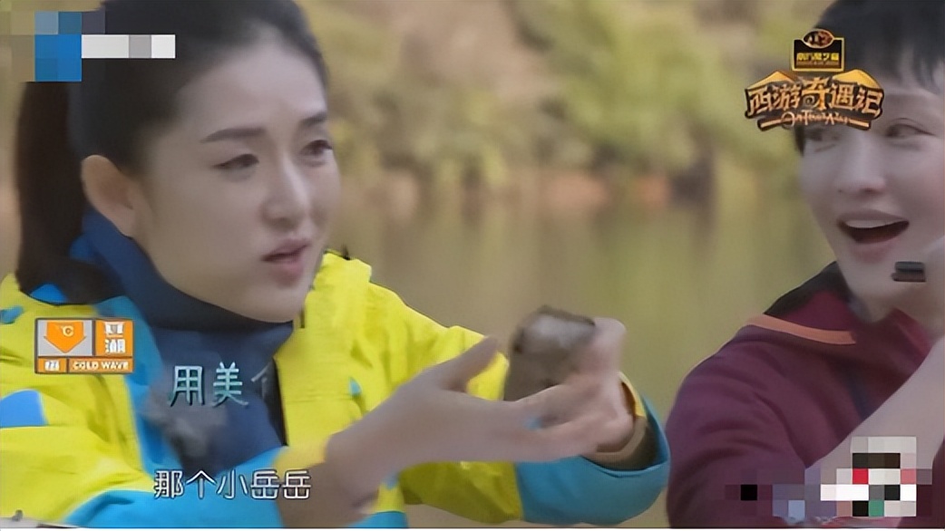 刘德华说谢娜脑筋有问题原视频,康辉刘德华评价谢娜