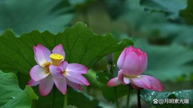 外汇投资方法和技巧,外汇的投资方式