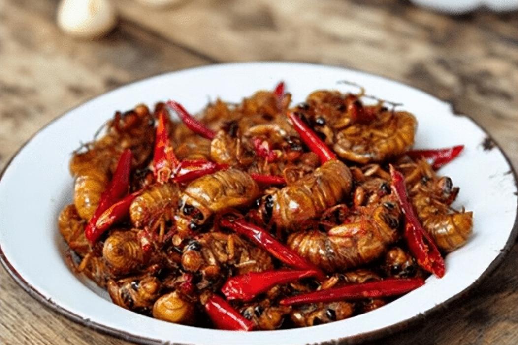 在美国知了猴泛滥,中国人在美国吃知了猴