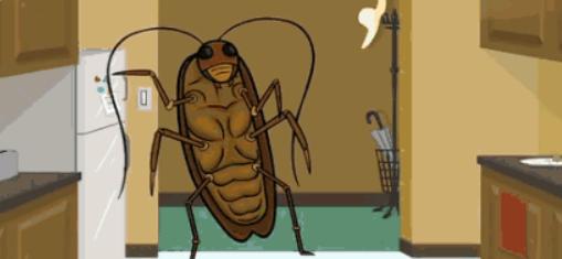 蟑螂消灭方法及蟑螂药哪种好,根除蟑螂有什么特效药和妙招