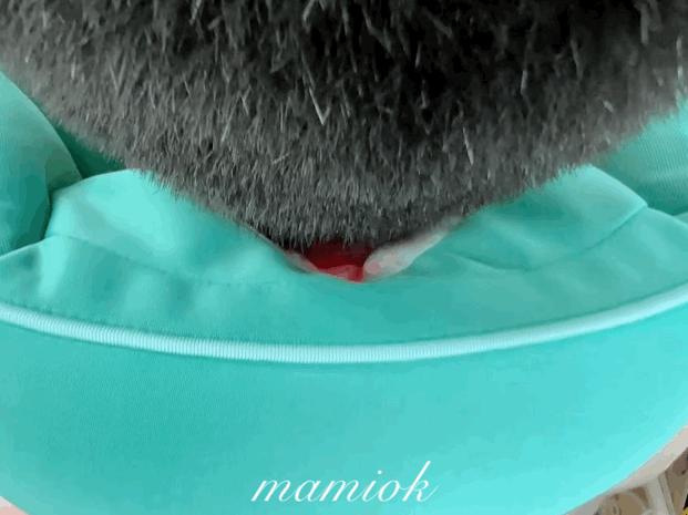 10几块的养生小物,健康养生小物推荐