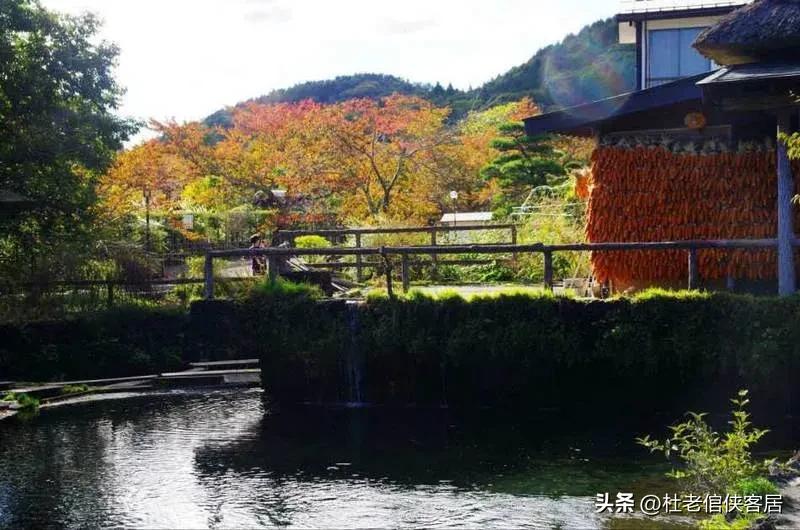 日本忍野八海值得去吗,忍野八海游玩