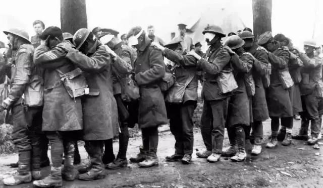 村民家里发现眼镜蛇蛇窝,澳洲家里发现蛇