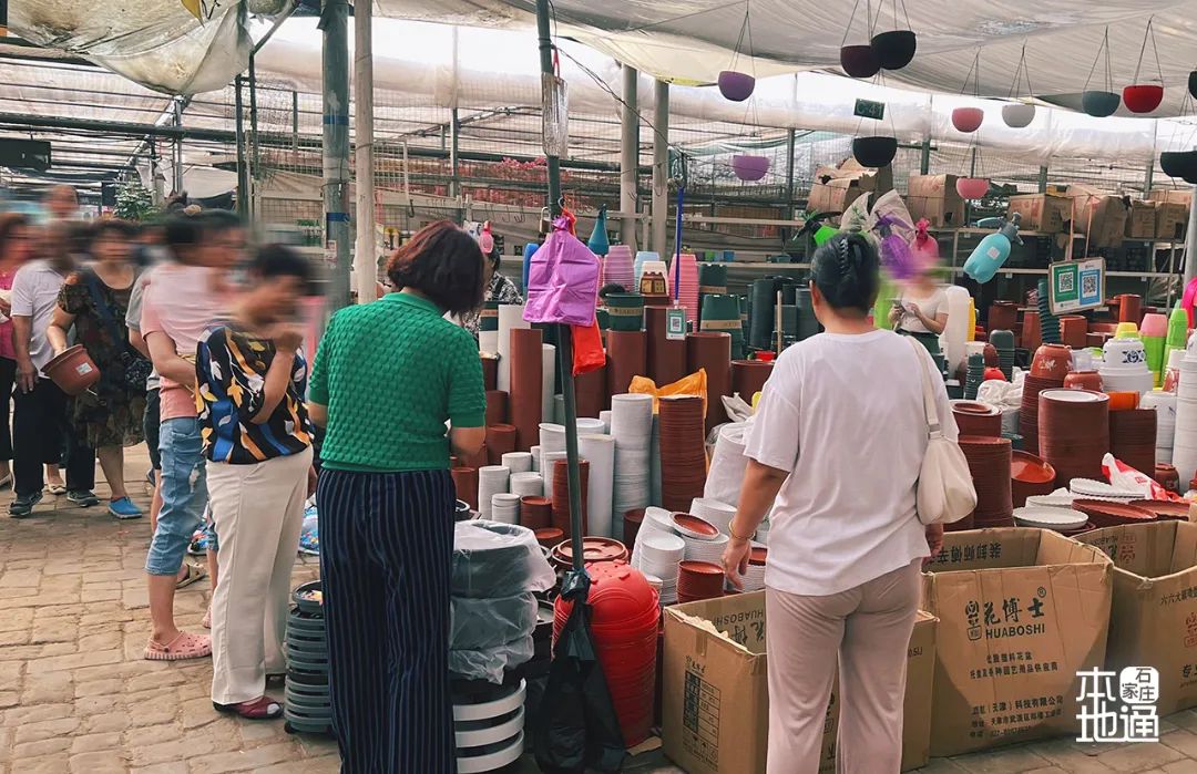 石家庄哪个花卉市场要拆,石家庄最好的花卉市场搬哪里去了