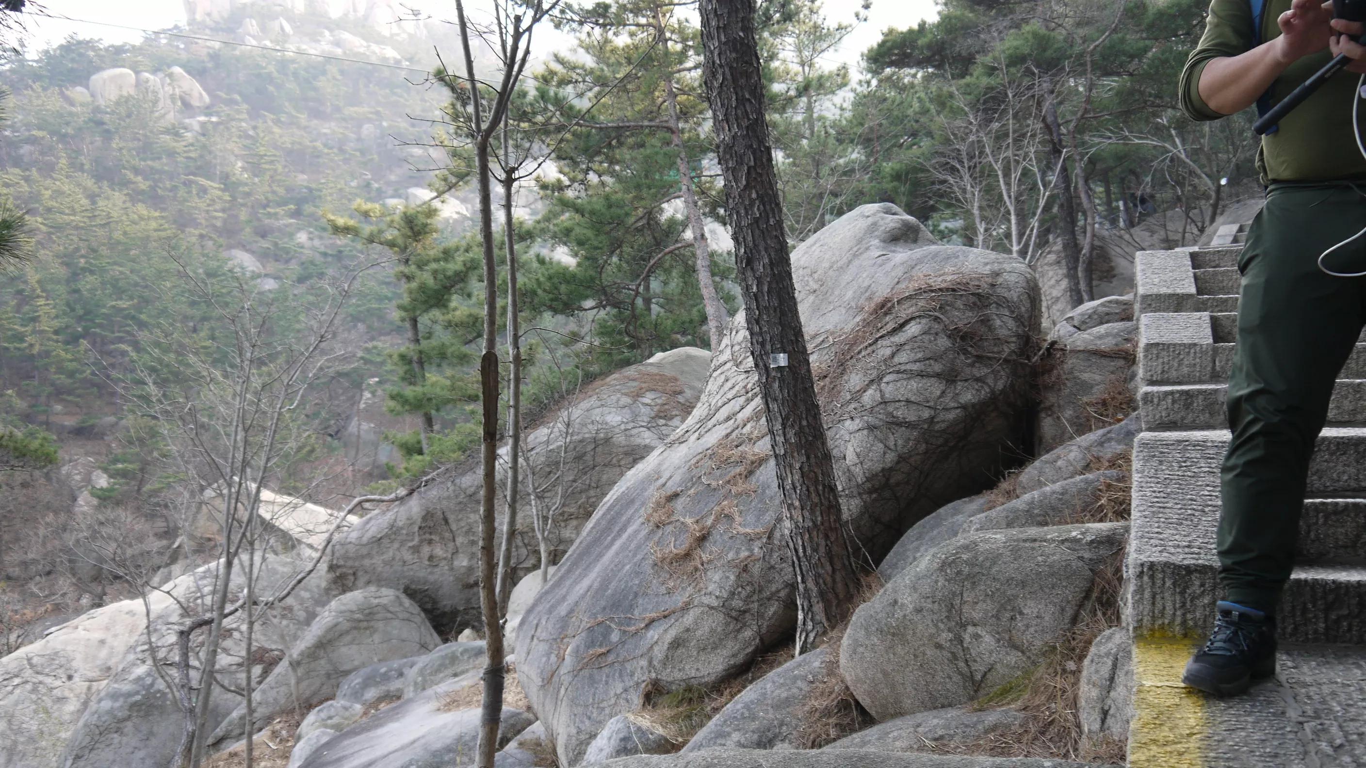 闈掑矝宕傚北浠板彛绱㈤亾,闈掑矝宕傚北浠板彛璧舵捣