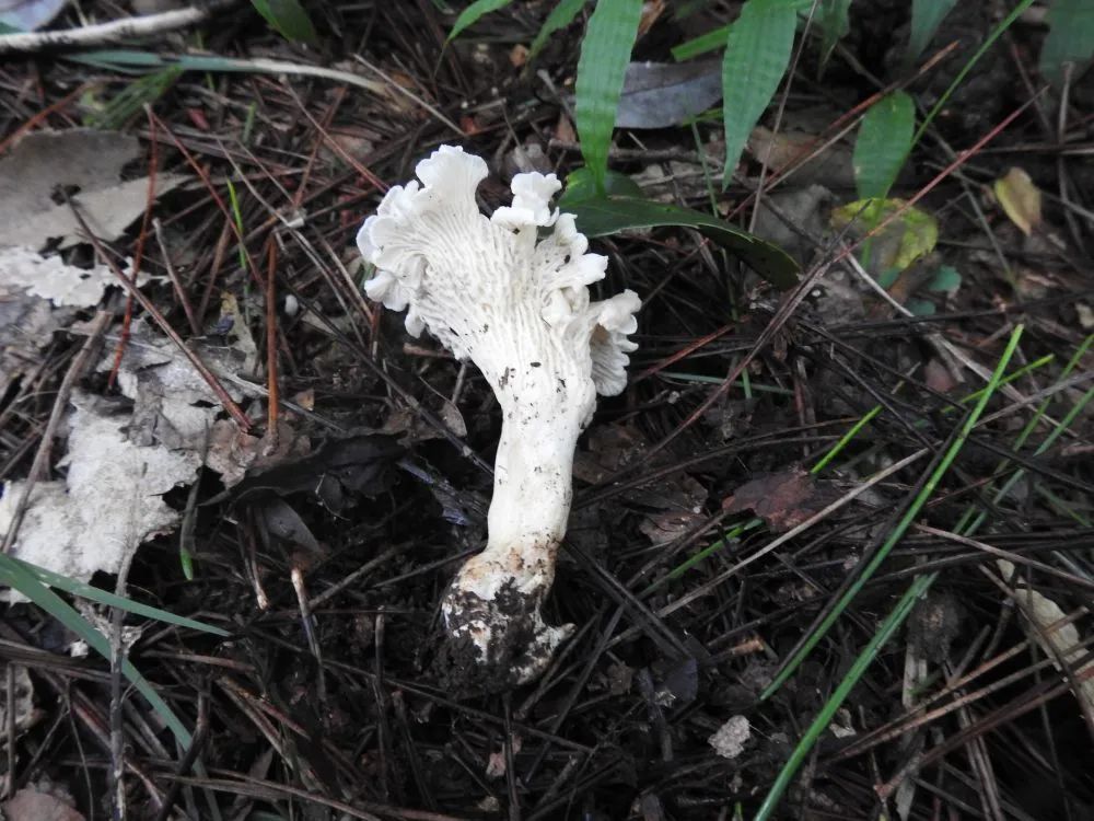 临汾早知道新闻,临汾新闻头条最新消息