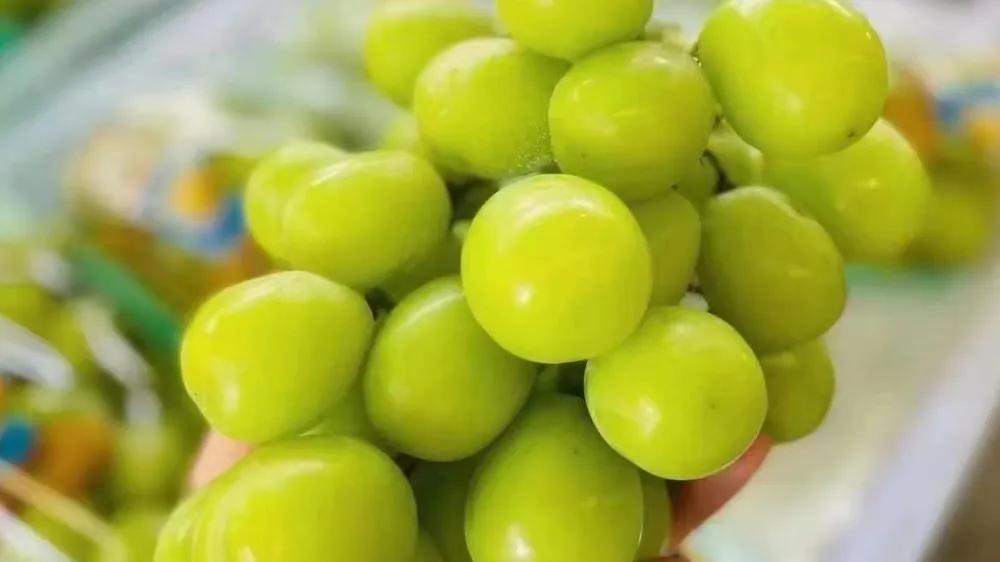 开一家普通水果店要投资多少钱,投资一个大型水果店要多少钱