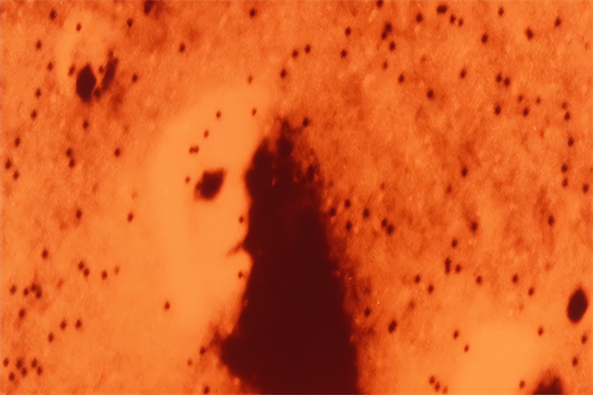 太阳系奇怪事件,太阳系五大诡异事