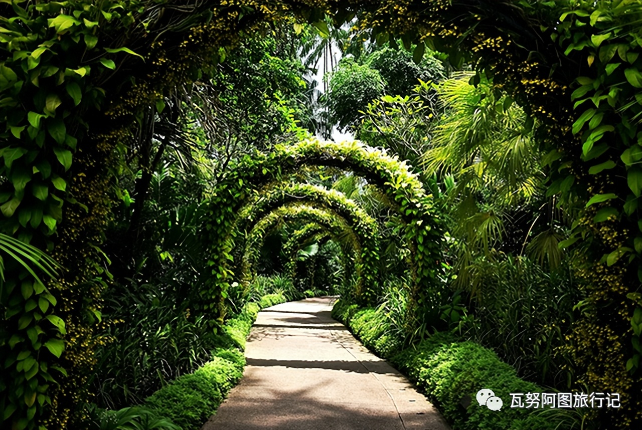 亚太最值得去的景点,出境游推荐这些目的地值得你去