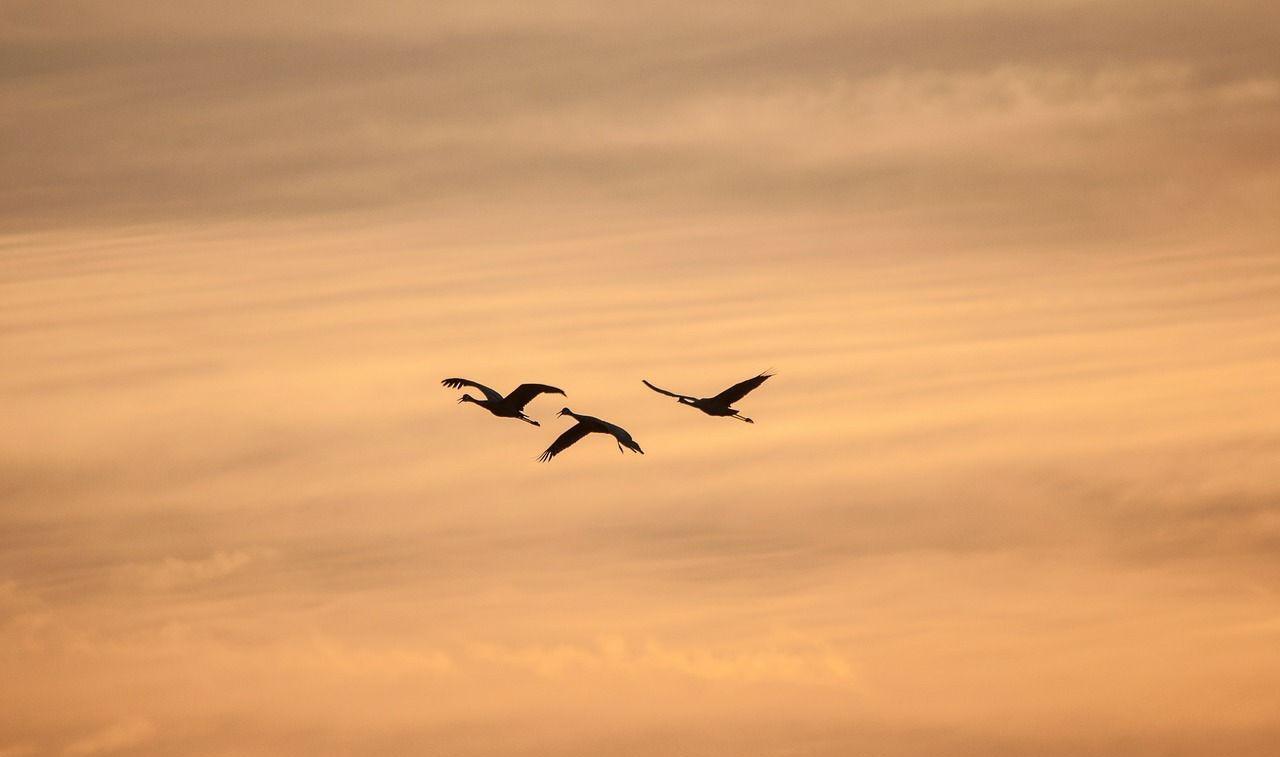 每天什么都不想做只想躺着怎么办,每天躺着刷手机什么都不想干