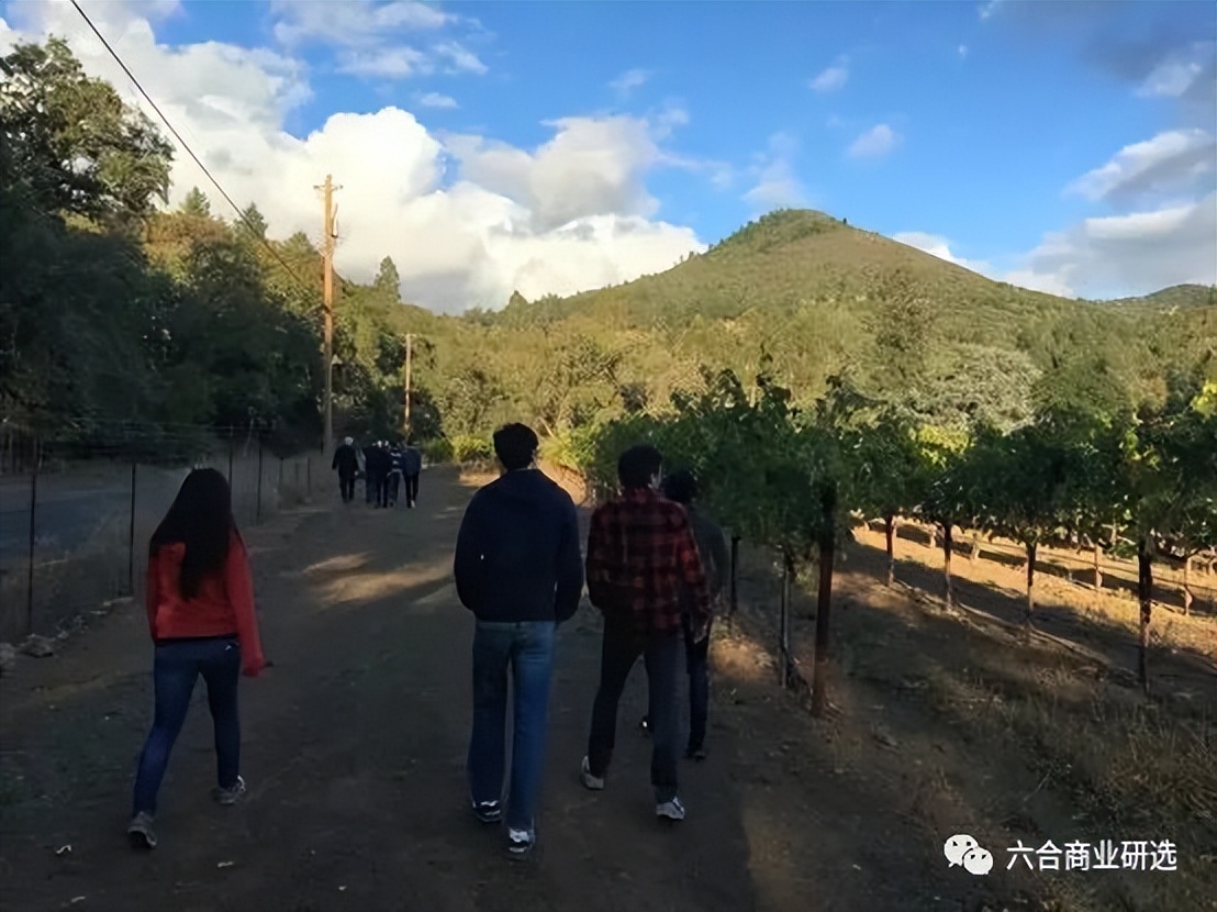 长期主义深度解析,长期主义第五十四期