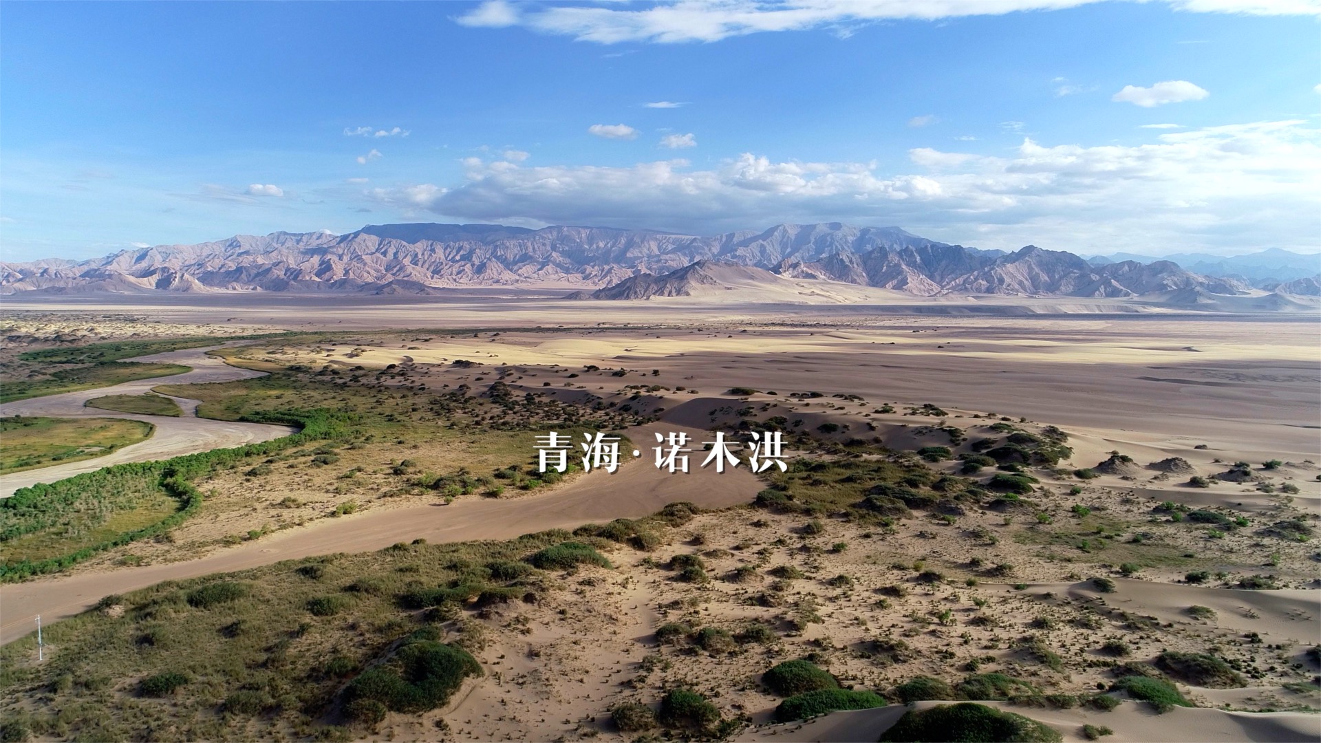 青藏高原诺木洪枸杞,青海诺木洪枸杞什么时候采摘结束