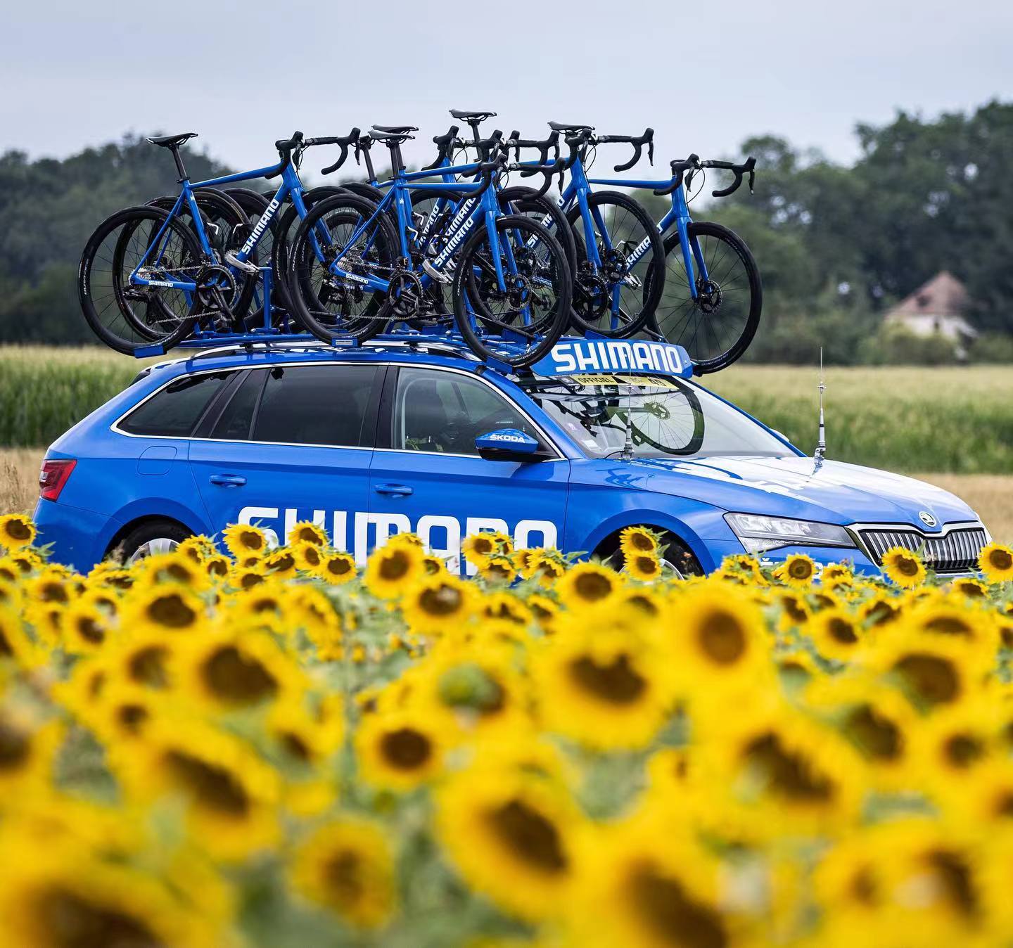 速联apex和禧玛诺grx哪个好,禧玛诺变速器和速联变速器哪个好