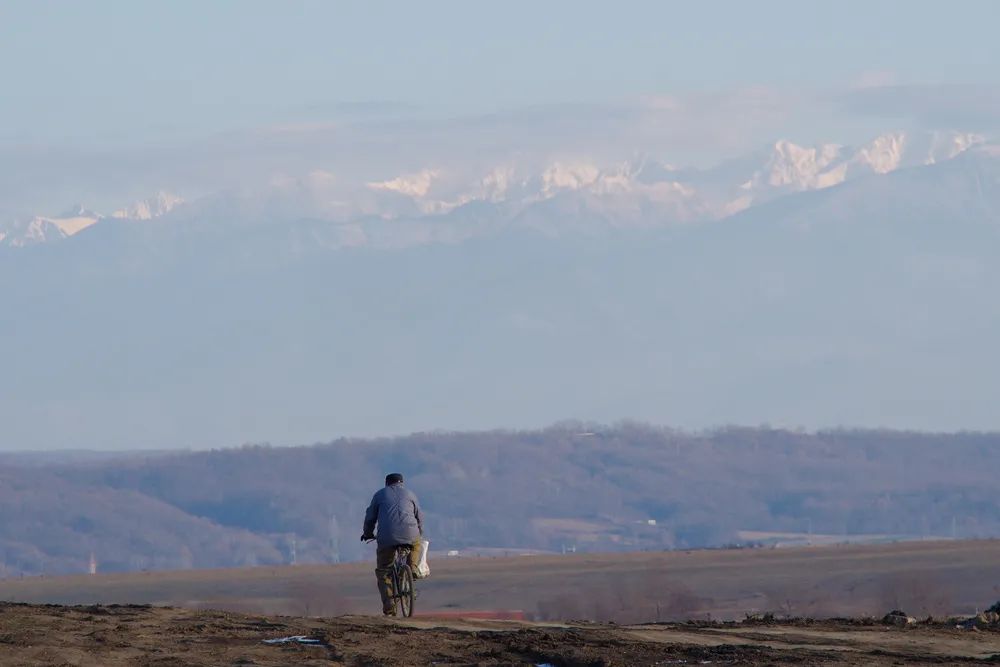 大爷钱被偷了视频,大爷被偷钱国外电影