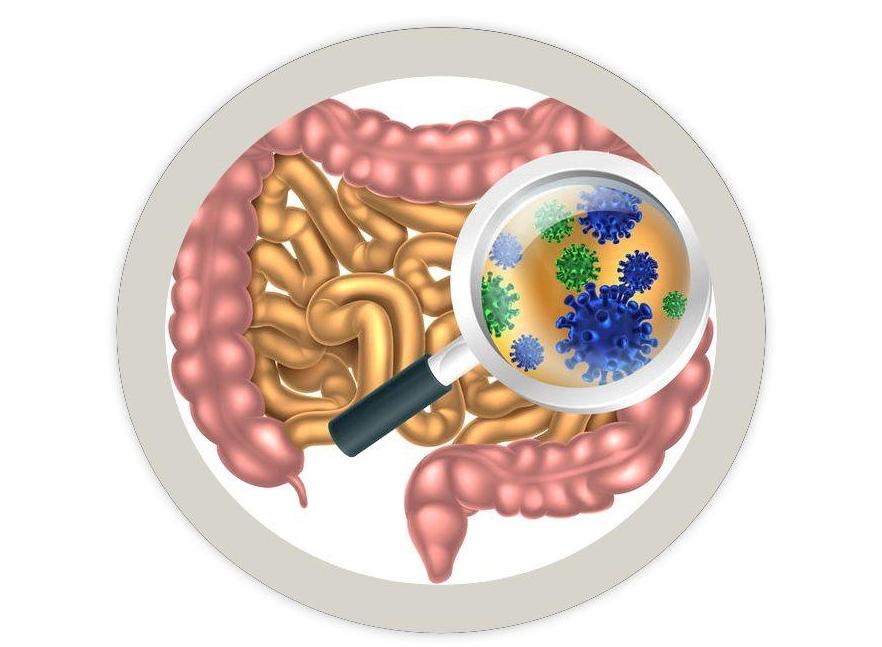 儿童抗生素相关性腹泻指南,宝宝抗生素相关性腹泻怎么处理
