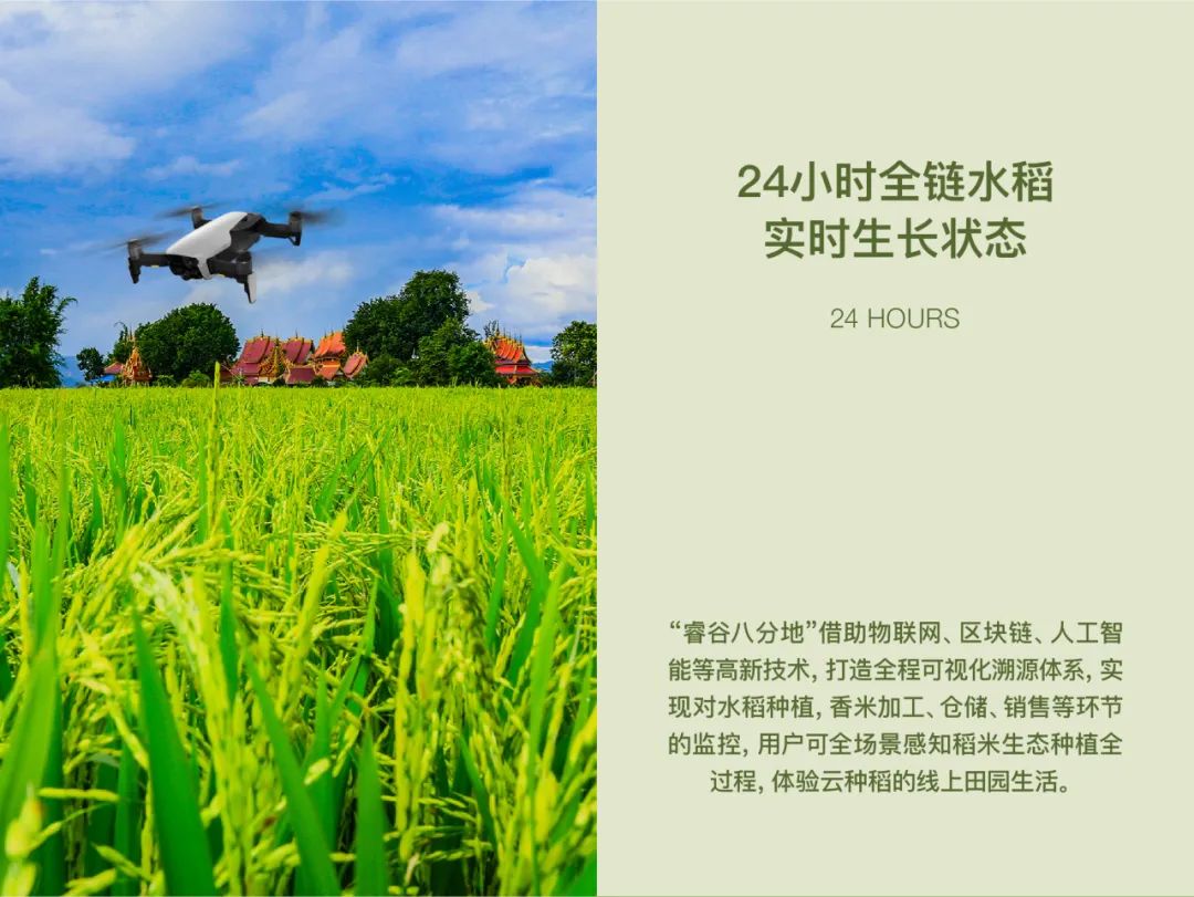 大道恒美×睿谷生态：大品牌战略，赋新生活方式营销