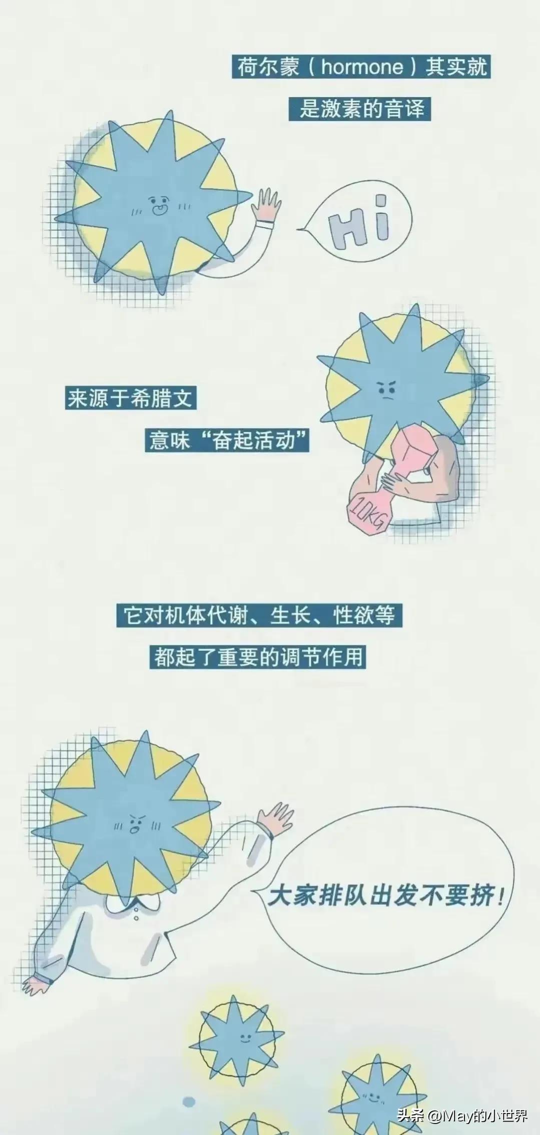 女性荷尔蒙分泌过多会怎样,女生荷尔蒙分泌是什么