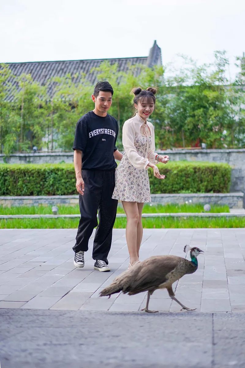 住阳朔应该住哪里的酒店,住阳朔附近哪里比较好