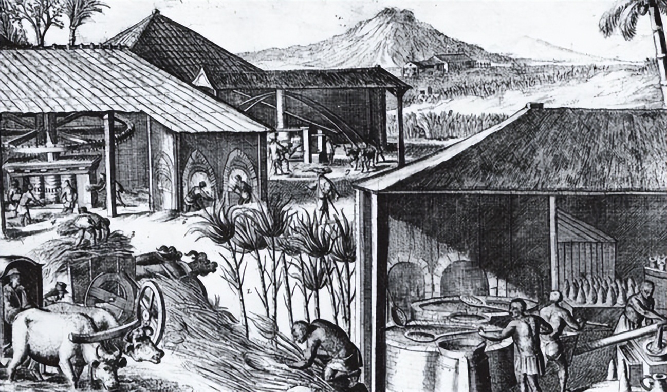 苏里南殖民统治,苏里南纽约