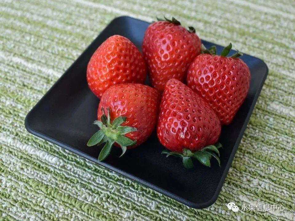 日本草莓评选大赛,排名第一的草莓品种是什么?