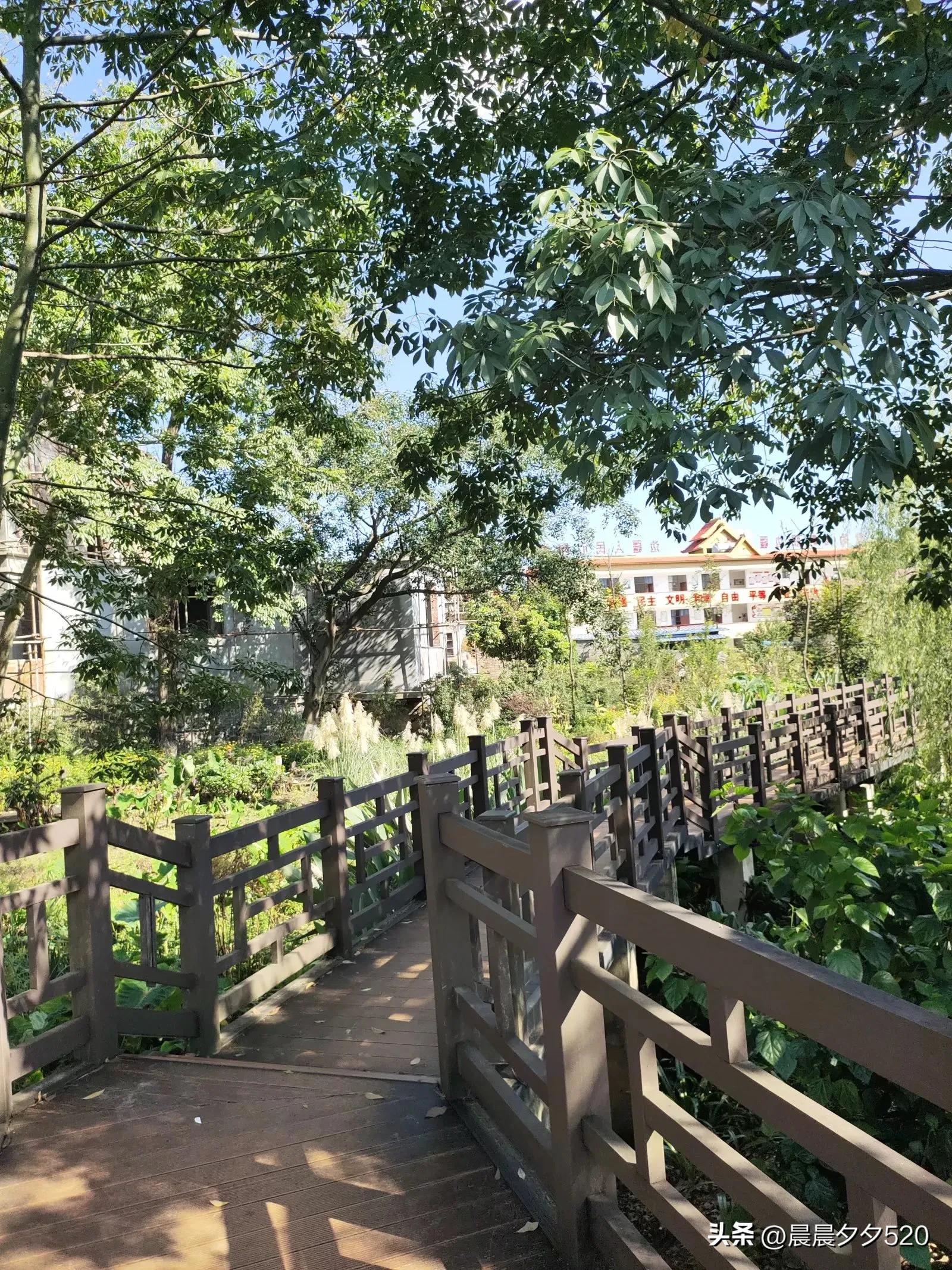 大美临沧四季如春,临沧四季如春美景