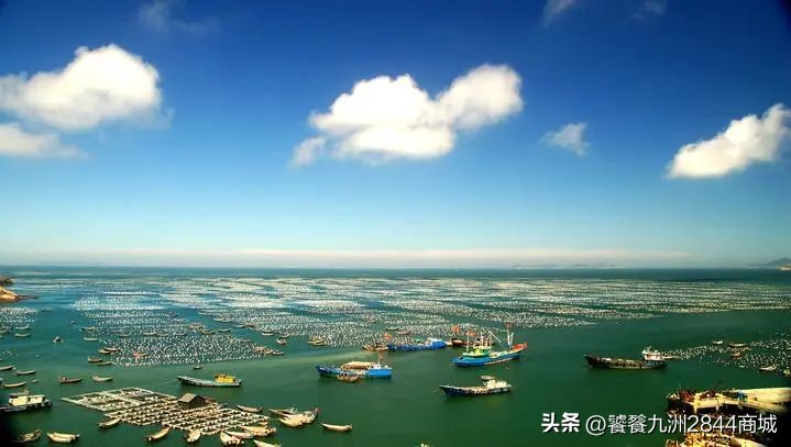 哪个城市海鲜又便宜又好吃,中国海鲜美食之都是哪个城市