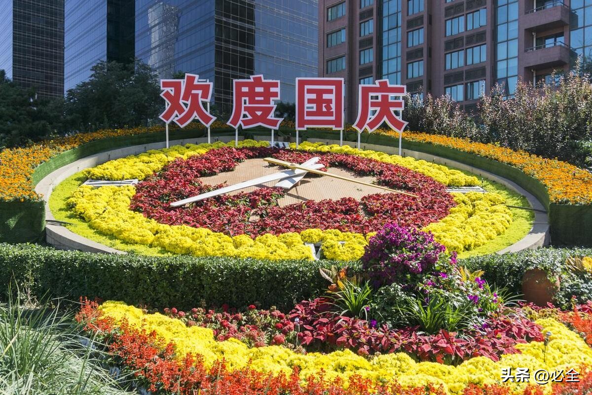 花坛设计及植物配置表,花坛的7种类型